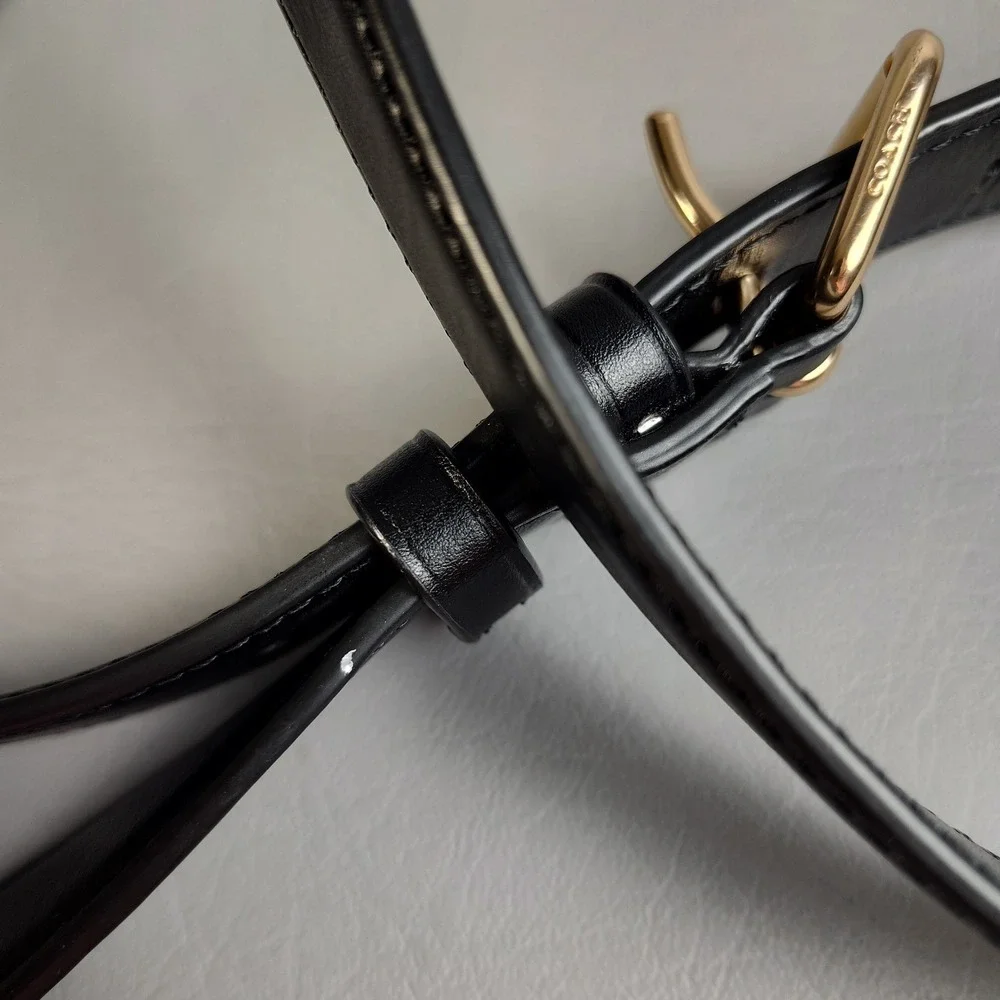 Coach Georgie Crossbody Bag Pebbled Leather Black Gold Hardware